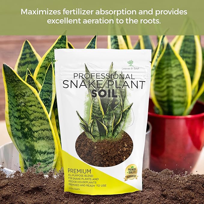 Professional Snake Plant Soil Large 2.2 Quarts Ready to Use, Premium Potting Soil for Snake Plants Dracaena Trifasciata, Fast Draining Indoor Soil with Peat Moss Coco Coir Perlite Dolomite Made in USA