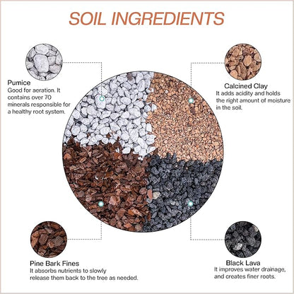 Bonsai Soil All Purpose Mix | Fast Draining Pre Blend (2 Quart Bag) Plant | Pumice, Lava, Calcined Clay and Pine Bark ● Potting Pre Mixed Bonsai Plant Soil Mixture By The Bonsai Supply