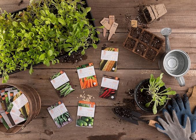 Bentley 20 Pack Garden Seeds for Planting - Non GMO Vegetable Variety Pack for Indoor and Outdoor Growing
