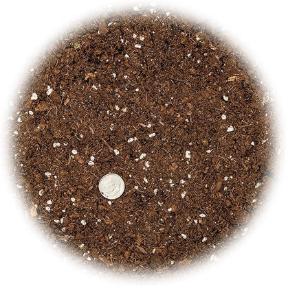 GARDENERA Money Tree Potting Soil Mix for Planting or Repotting Guiana Chestnut, Soil Blended to Properly Grow Money Tree Plants - (1 Quart Bag)