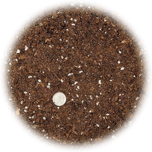 GARDENERA Money Tree Potting Soil - 10 Quart - Soil Mix for Planting or Repotting Guiana Chestnut, Blended Mix to Properly Grow Money Tree Plants (4 Bags of 5 Quart)