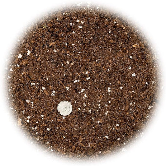 GARDENERA Money Tree Potting Soil Mix for Planting or Repotting Guiana Chestnut, Soil Blended to Properly Grow Money Tree Plants (4 Quart Bag)