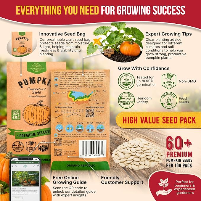 Organo Republic Pumpkin Connecticut Field Seeds Pack, 10G - Over 60 Non-GMO Heirloom Pumpkin Seeds for Planting Vegetables in Individual Seed Packet, Vegetable Seeds for Indoor & Outdoor Gardening