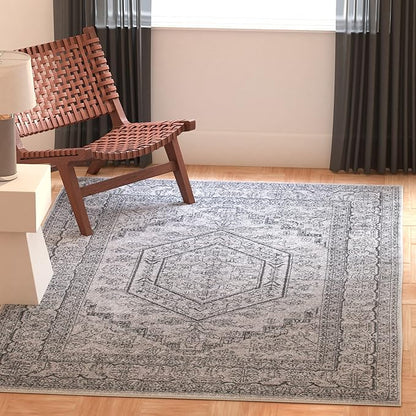 SAFAVIEH Adirondack Collection Accent Rug - 4' x 6', Light Grey & Dark Grey, Oriental Medallion Design, Non-Shedding & Easy Care, Ideal for High Traffic Areas in Foyer, Living Room, Bedroom (ADR108C)