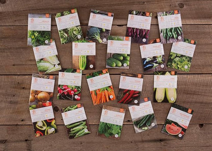 Bentley 20 Pack Garden Seeds for Planting - Non GMO Vegetable Variety Pack for Indoor and Outdoor Growing