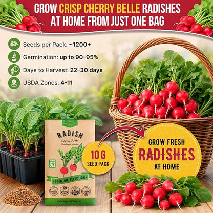 Cherry Belle Radish Seeds Pack 10 G - Over 1200 Non-GMO Heirloom Radish Seeds for Planting Vegetables in Individual Seed Packet, Vegetable Seeds for Planting Home Garden Indoor & Outdoor Gardening