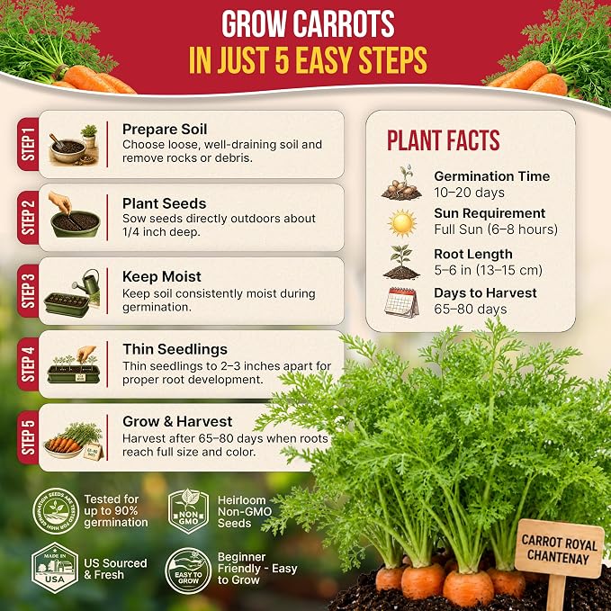 Organo Republic Carrot Royal Chantenay Seeds Pack 1G - Over 850 of Non-GMO Heirloom Carrot Seeds for Planting Vegetables in Individual Seed Packet, Vegetable Seeds for Planting Indoor & Outdoor Garden