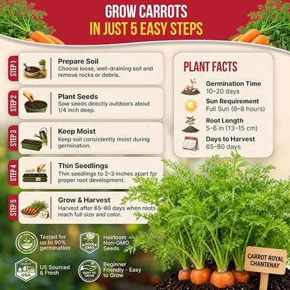 Organo Republic Carrot Royal Chantenay Seeds Pack 1G - Over 850 of Non-GMO Heirloom Carrot Seeds for Planting Vegetables in Individual Seed Packet, Vegetable Seeds for Planting Indoor & Outdoor Garden