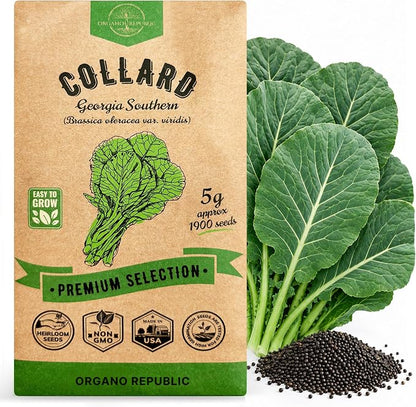 Organo Republic Collard Georgia Southern Seeds Pack 5G - Over 1900 Non-GMO Heirloom Collard Seeds for Planting Vegetable in Individual Seed Packet Vegetables Seeds for Planting Indoor & Outdoor