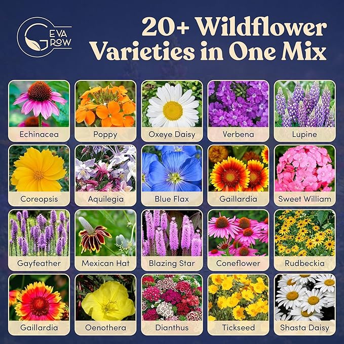 Bulk Wildflower Seed Shaker – Perennial Flower Seeds Mix to Plant Anywhere, by Geva Grow | 20 - Different Type Beautiful Perennial Wildflower Seeds Bulk 900,000+ Seeds, 1 Pound Tub