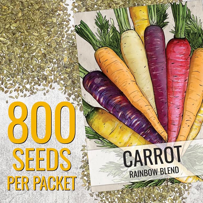 Seed Needs Rainbow Mixed Carrot Seeds to Plant Heirloom & Non-GMO 5 Packs