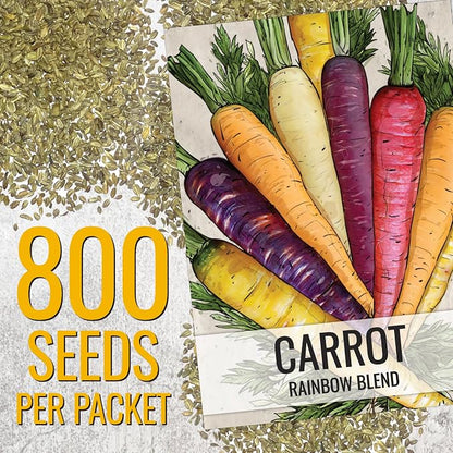 Seed Needs Rainbow Mixed Carrot Seeds to Plant Heirloom & Non-GMO 5 Packs