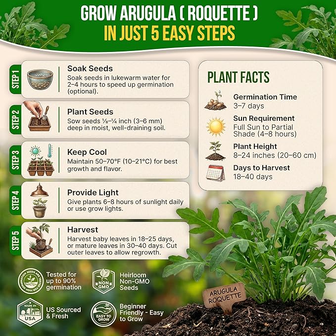 Organo Republic Arugula Roquette Seeds Pack 5G - Over 2900 Non-GMO Heirloom Arugula Seeds for Planting Greens in Individual Seed Packet, Greens Seeds for Planting Home Garden Indoor & Outdoor Garden