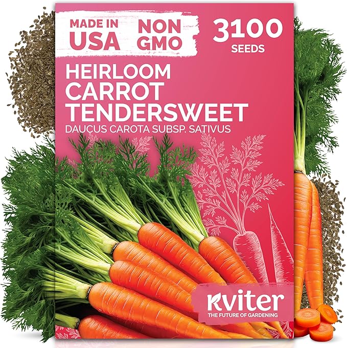 KVITER 3100 Tendersweet Carrot Seeds for Planting (Daucus carota) –Non GMO Vegetable Seeds for Outdoor Garden – Sweet Heirloom Carrots – Carrot Seed Packets for Home Garden, Beds, Containers