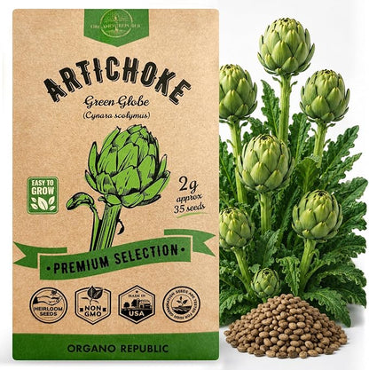 Green Globe Artichoke Seeds Pack 2G - Over 35 of Non-GMO Heirloom Artichoke Seeds for Planting Vegetables in Individual Seed Packet, Vegetable Seeds for Planting Home Garden Indoor & Outdoor Gardening