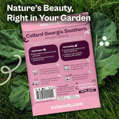 SVI 500 Georgia Southern Collard Green Seeds (Brassica oleracea) – Collard Greens Seed Packets, Heat and Cold Tolerant Collards – Vegetable Seeds for Outdoor Vegetable Garden, Raised Beds