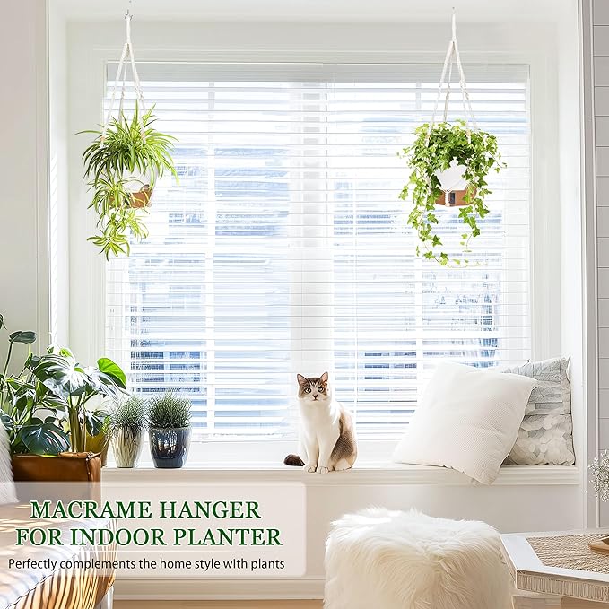 10 Inch Hanging Planters for Indoor Plants, 2 Pack Self Watering Hangi –  LuxaLeaf