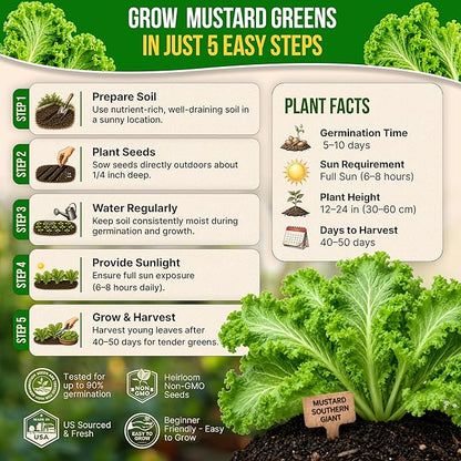 Organo Republic Mustard Southern Giant Seeds Pack 5 G - Over 3,950 Non-GMO Heirloom Mustard Seeds for Planting Greens in Individual Seed Packet, Greens Seeds for Planting Home Garden Indoor & Outdoor