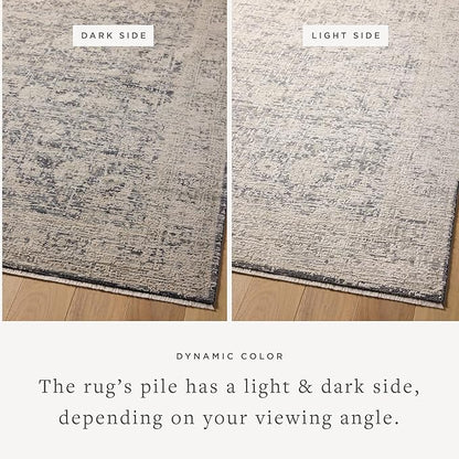 Loloi Amber Lewis Alie Collection ALE-05 Charcoal/Beige 2'-7'' x 12'-0'', .13'' Pile Height, Runner Rug