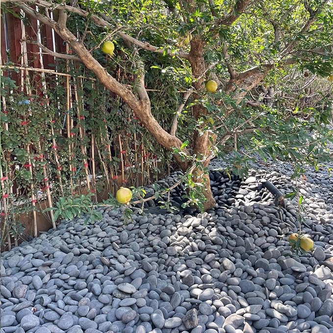 20 lbs Natural Unpolished Black Rocks Mexican Beach Pebbles, 2-3 Inch Decorative Black River Rocks for Outdoor Landscaping, Garden Paving, Plant Rocks, Fountain and Walkways