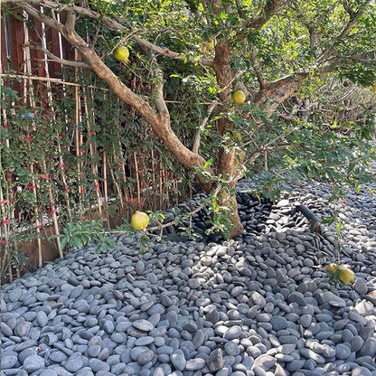 FANTIAN 40 lbs Natural Black Rocks Mexican Beach Pebbles, 2-3 Inch Decorative Black River Rocks for Landscaping, Garden, Paving, Fountain, Walkways and Outdoor Decorative Stones