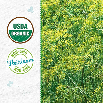 Back to The Roots 100% Organic Seed Packet - Dill 'Mammoth' 1g