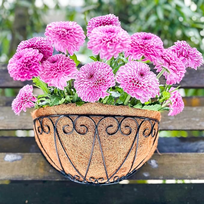 LaLaGreen Outdoor Wall Planters (2 Pack, 14 Inch) Black Metal Wall Mounted Hanging Basket with Coco Liner, Semi-Circle Flower Pot Plant Holder for Fence Railing Deck Porch Balcony French Garden Decor