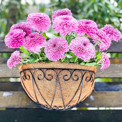 LaLaGreen Outdoor Wall Planters (2 Pack, 14 Inch) Black Metal Wall Mounted Hanging Basket with Coco Liner, Semi-Circle Flower Pot Plant Holder for Fence Railing Deck Porch Balcony French Garden Decor