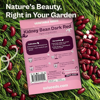 SVI 50 Dark Red Kidney Beans Seeds (Phaseolus vulgaris L.) – Rajma, Surkh Lobia, Heat-Tolerant, Protein-Rich – Heirloom Vegetable Seeds for Outdoor Garden & Raised Beds