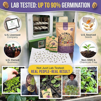 Organo Republic 20 Edible Flower Seeds Variety Pack- Indoor/Outdoor. 7000+ Non-GMO Heirloom: Borage, Bergamot, Nasturtium, Chives, Cape Daisy, Hyssop, Zinnia Seeds & More