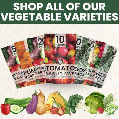 Tomato Seeds | 10 Individual Packs | 2026 Season | Non-GMO | Roma, Brandywine, Cherry & More! | for Planting Indoor & Outdoor | by Family Sown