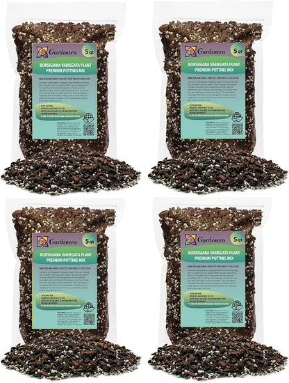 Premium Monstera Borsigiana Soil Mix - Trusted by Horticulture Experts for Strong and Healthy Plants by Gardenera - 20 Quart (4 Bags of 5 Quart)