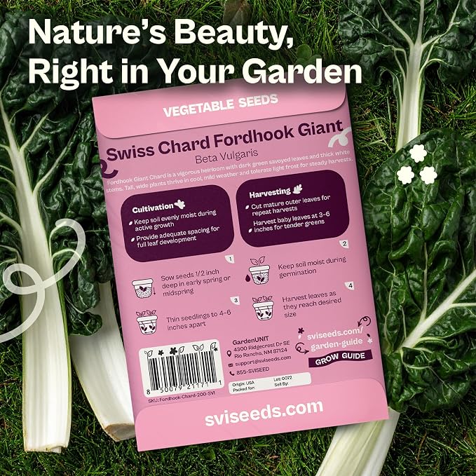 SVI 200 Fordhook Giant Chard Seeds (Beta Vulgaris) - Swiss Chard, White Stem Leafy Greens, Mild Flavor, Heirloom Seed in Seed Packets - Vegetable Seeds for Home Garden, Containers and Outdoor Beds