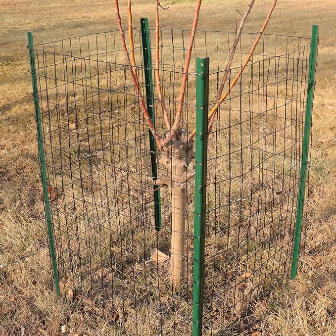 Black PVC Coated Welded Wire Fence 24 Inch x 25 Foot, 2 Inch x 3 Inch 16GA, Garden Border Fencing Roll Vinyl Coating Metal Wire Mesh for Yard Vegetable Plant Protection Poultry Netting