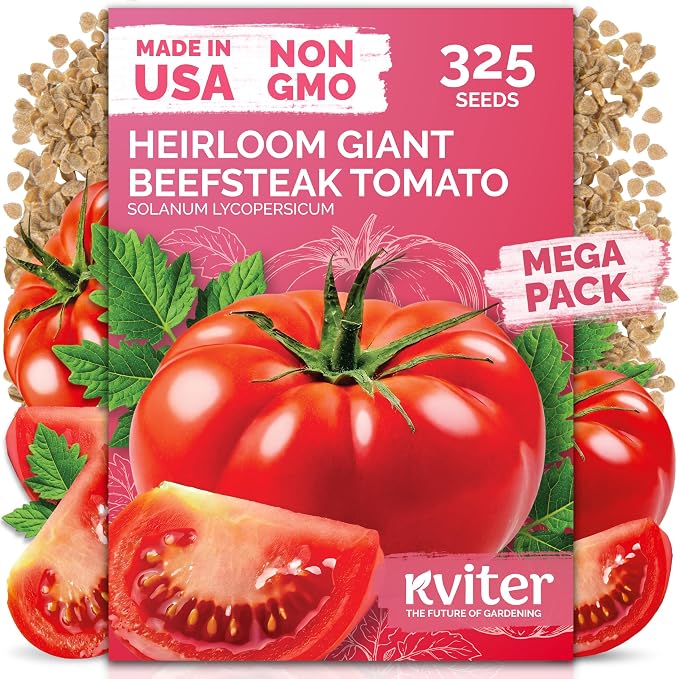 KVITER 325 Giant Beefsteak Tomatoes Seeds (Solanum lycopersicum) – Beef Steak Tomato Seed Packets Heirloom Tomatoes – Non GMO Slicing Tomato Vegetable Seeds for Planting Home Garden, Indoor & Outdoor