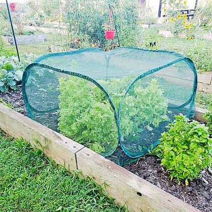 Gardeneer by Dalen Pop-Net Portable Protective Enclosure – Lightweight and Weatherproof – Easy DIY Installation – Safeguard Your Plants Against Garden Pests - 40" x 40" x 20"