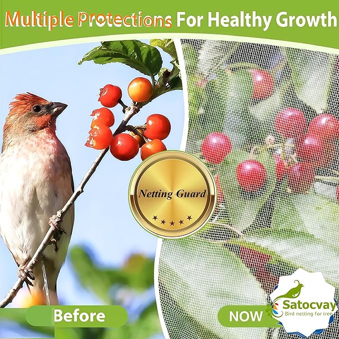 Fruit Tree Netting - Easy Install Plant Protection Cover, Reusable Garden Mesh Bag for Blueberry Bushes/Tomato - Block Birds/Insect/Squirrels (3, 10x10 FT)