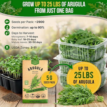 Organo Republic Arugula Roquette Seeds Pack 5G - Over 2900 Non-GMO Heirloom Arugula Seeds for Planting Greens in Individual Seed Packet, Greens Seeds for Planting Home Garden Indoor & Outdoor Garden