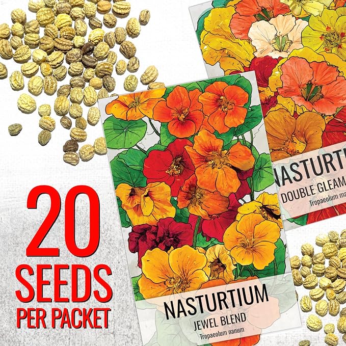 Seed Needs Nasturtium Garden Seeds Variety Pack of 2 Edible Wildflowers