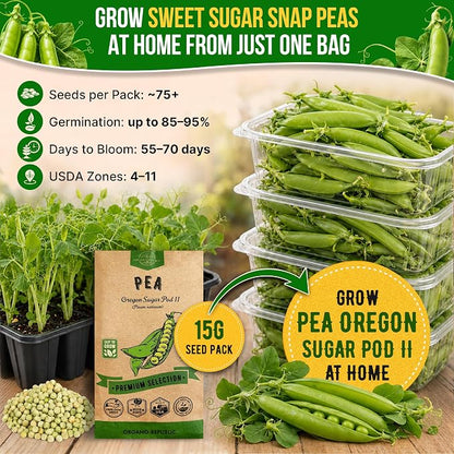 Organo Republic Pea Oregon Sugar Pod II Seeds Pack 15G - Over 75 Non-GMO Heirloom Pea Seeds for Planting Vegetables in Individual Seed Packet, Vegetable Seeds for Planting Home Garden Indoor & Outdoor