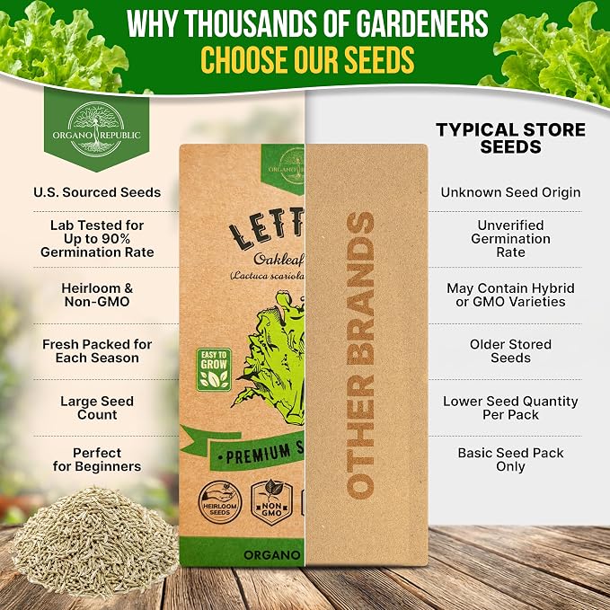 Organo Republic Lettuce Oakleaf Seeds Pack 1 G - Over 800 Non-GMO Heirloom Lettuce Seeds for Planting Greens in Individual Seed Packet, Greens Seeds for Planting Home Garden Indoor & Outdoor Gardening