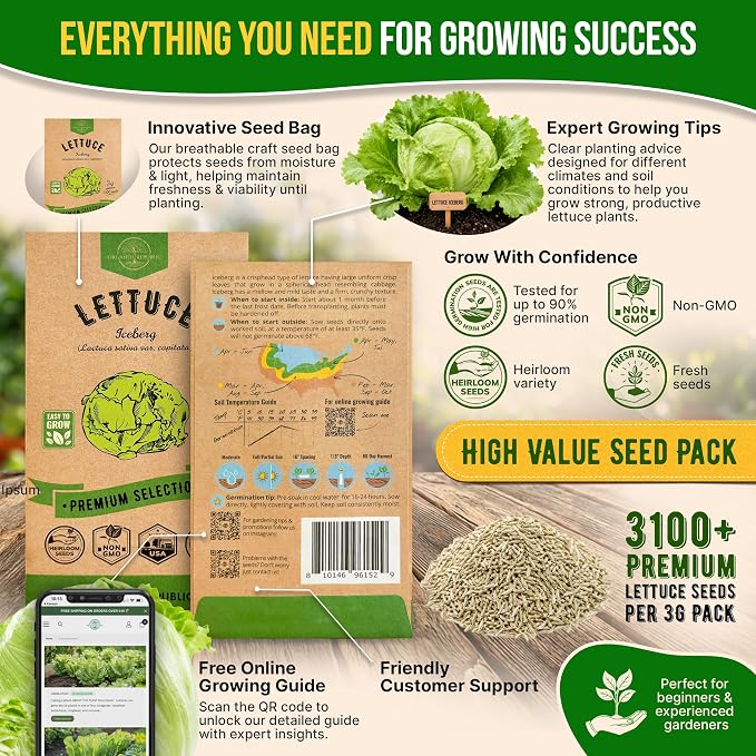 Lettuce Iceberg Seeds Pack 3G - Over 3,100 Non-GMO Heirloom Lettuce Seeds for Planting Greens in Individual Seed Packet, Greens Seeds for Planting Home Garden Indoor & Outdoor Gardening