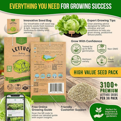 Lettuce Iceberg Seeds Pack 3G - Over 3,100 Non-GMO Heirloom Lettuce Seeds for Planting Greens in Individual Seed Packet, Greens Seeds for Planting Home Garden Indoor & Outdoor Gardening