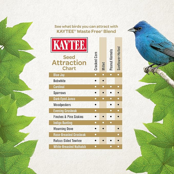 Kaytee Wild Bird (No Mess or Waste Free) Food Seed Blend for Blue Jays, Woodpeckers, Juncos, Cardinals, Grosbeaks, Sparrows, and Finches, 10 Pound, (Packaging May Vary) (Pack of 2)