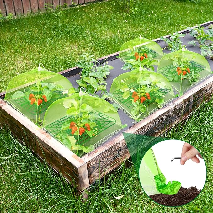 8 Sets Strawberry Plant Support with Mesh Plant Cover,Strawberry Growing Racks Sets with Iron Plant Nails for Garden Strawberry Vegetables
