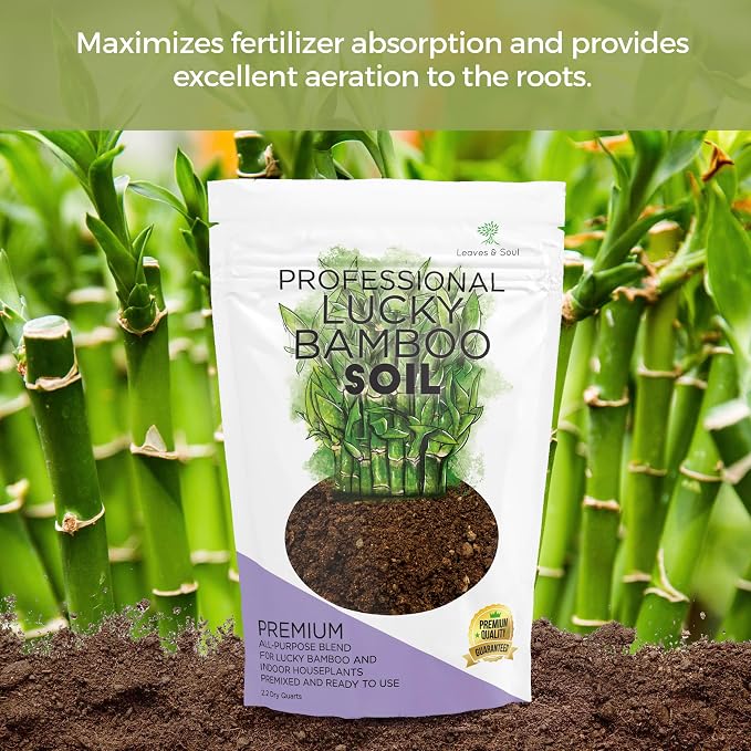 Professional Lucky Bamboo Soil Mix Large 2.2 Quarts Ready to Use, Premium Indoor Potting Soil for Lucky Bamboo Plants, Dracaena Sanderiana, Peat Moss Coco Coir Perlite Dolomite Blend Made in USA