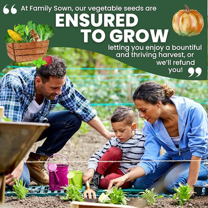 Fall & Winter Seed Variety Pack | 30 Invidiual Packs | 2026 Season | Non-GMO | Beets, Arugula, Carrots, Lettuce & More! | for Planting Indoor & Outdoor | by Family Sown