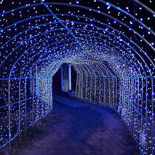 Solar String Lights for Outside, 39Ft 100 LED Solar String Lights Outdoor with 8 Modes，Solar Lights for Outside Waterproof for Yard, Fence,Balcony, Party,Christmas Tree Decorations (Blue&White)