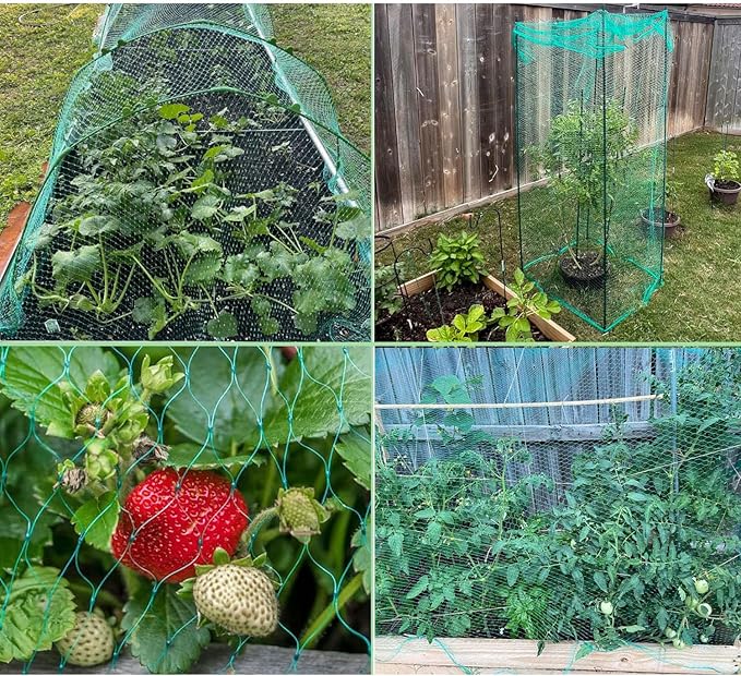 Bird Netting for Garden Protection Bird Fence Plant Netting Garden Garden Netting Mesh for Chicken Coop Deer Squirrels Poultry Protect Fruit Trees Vegetable 13x16.5ft