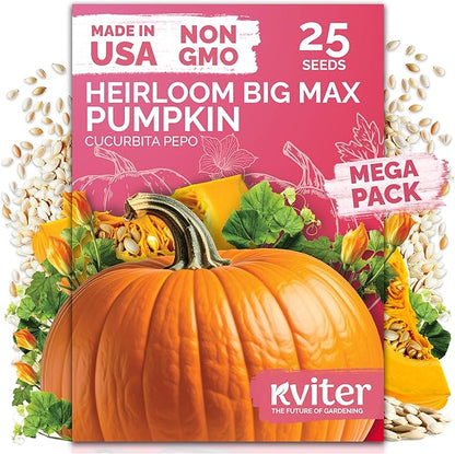 KVITER 25 Big Max Pumpkin Seeds for Planting (Cucurbita Pepo) – Giant Heirloom & Pumpkin Seeds, Up to 100 lbs – Ideal Vegetable Seed Packets for Home Outdoor Garden
